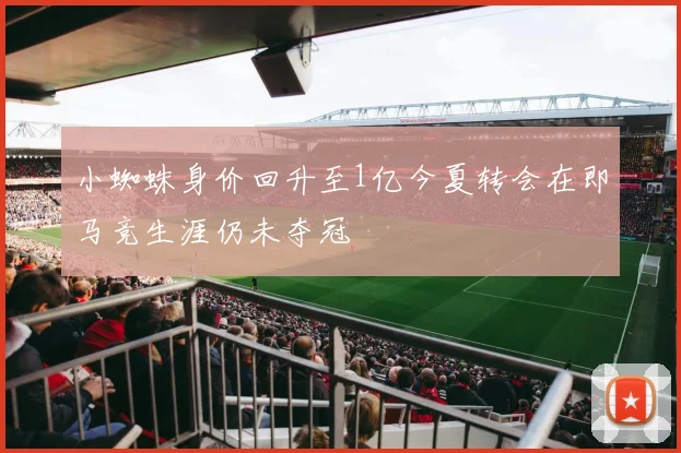 小蜘蛛身价回升至1亿今夏转会在即马竞生涯仍未夺冠